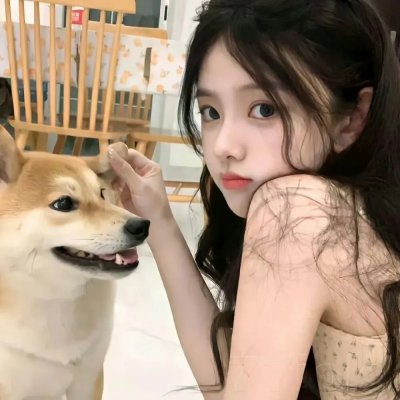 功夫兔与菜包狗第一季