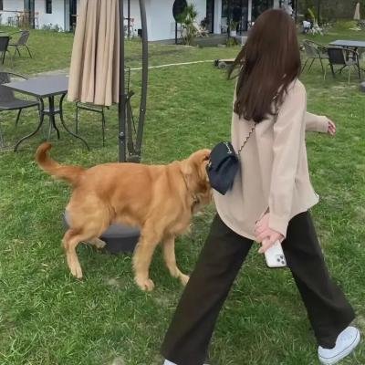 我的女人